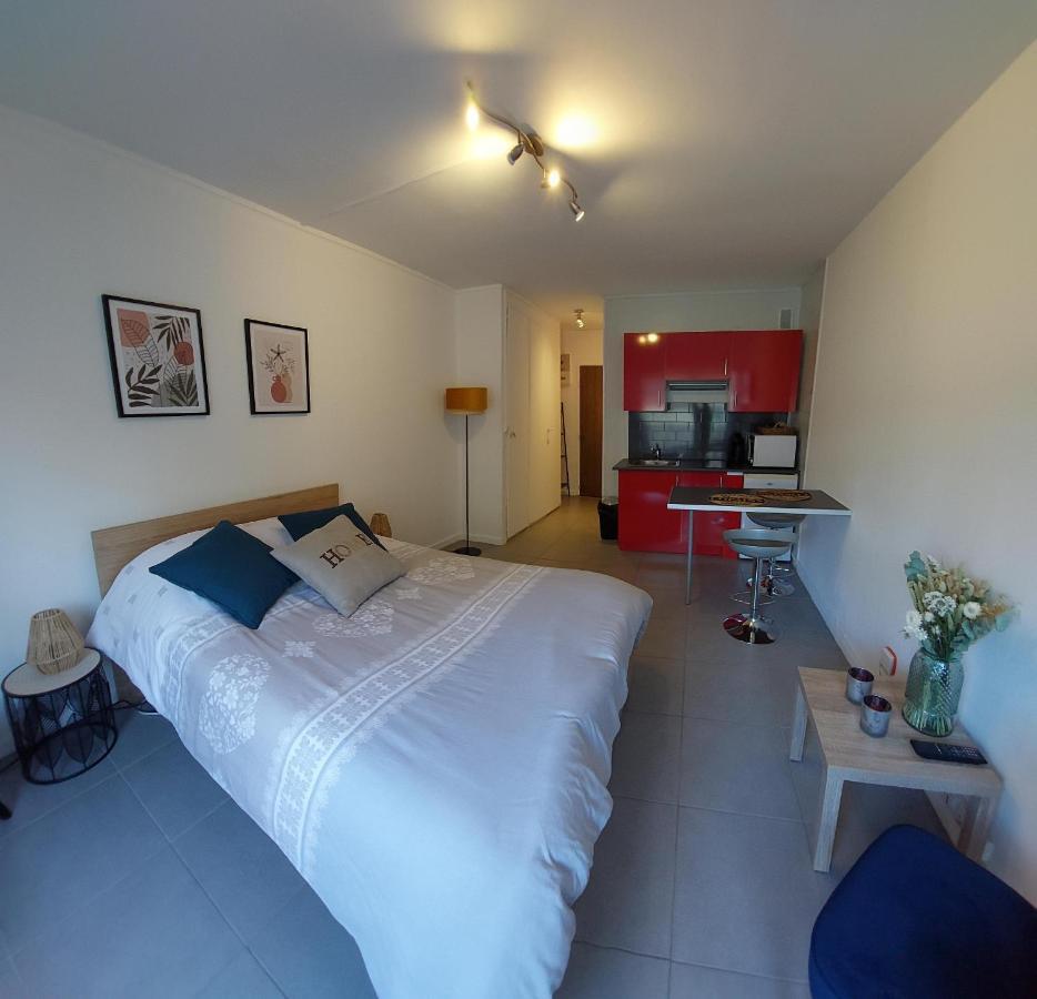 Studio Vieille Ville Νανσύ Εξωτερικό φωτογραφία